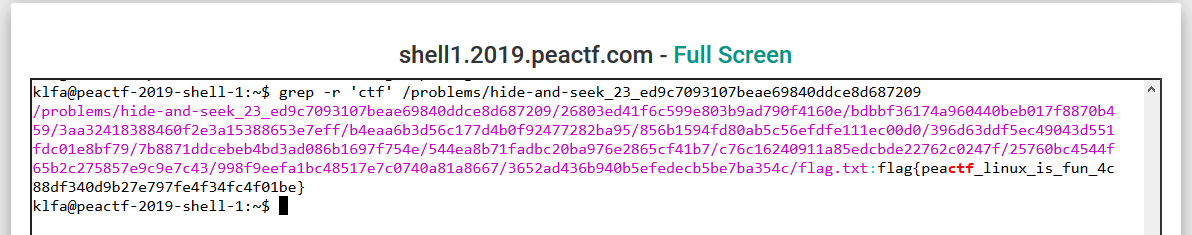 Write Up PeaCTF 2019